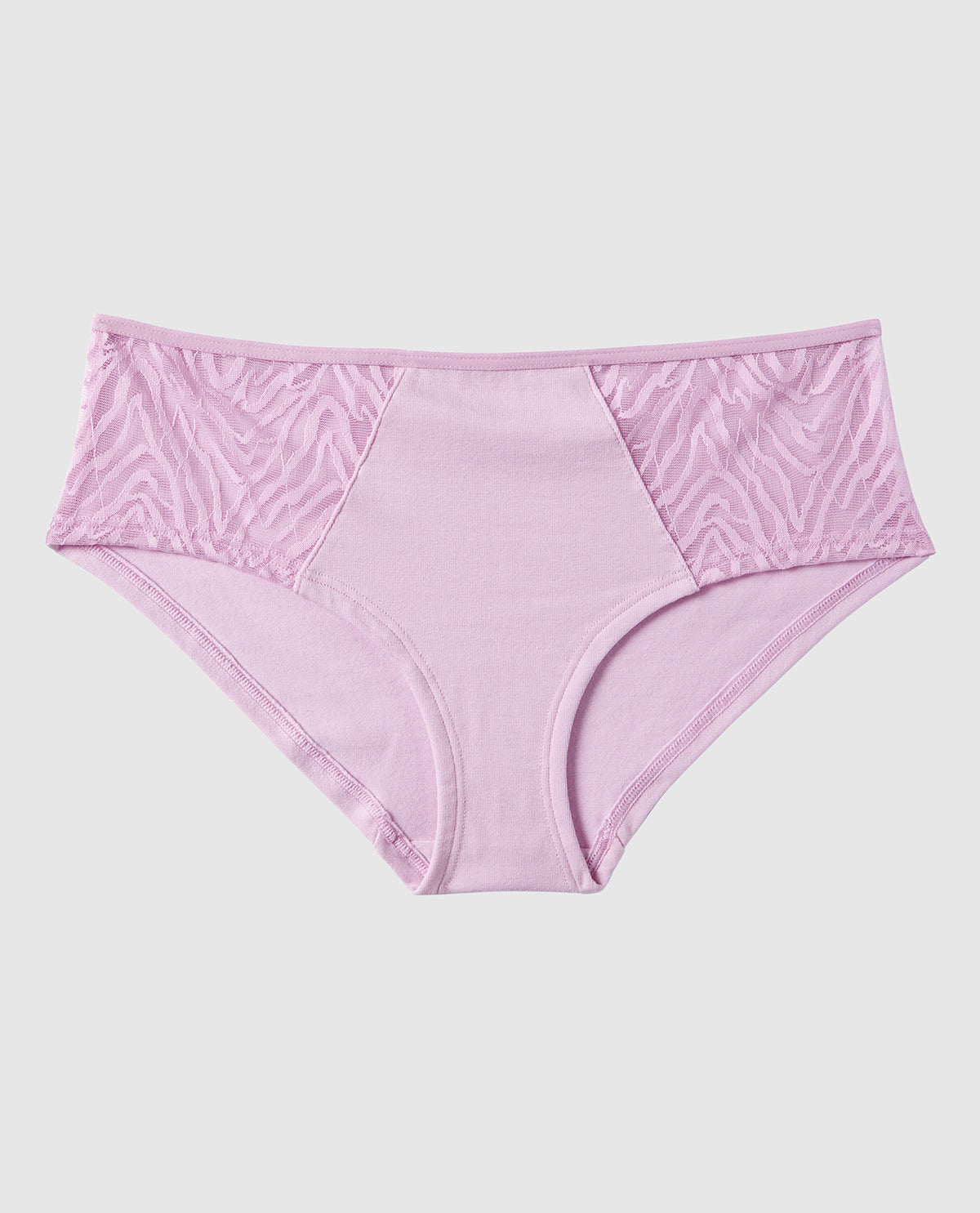 Mesh Hipster Panty