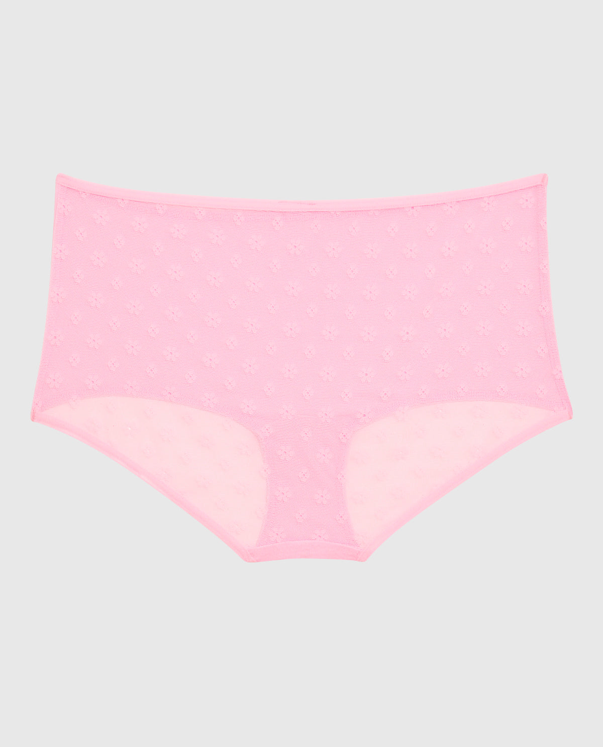 Mesh Boyshort Panty